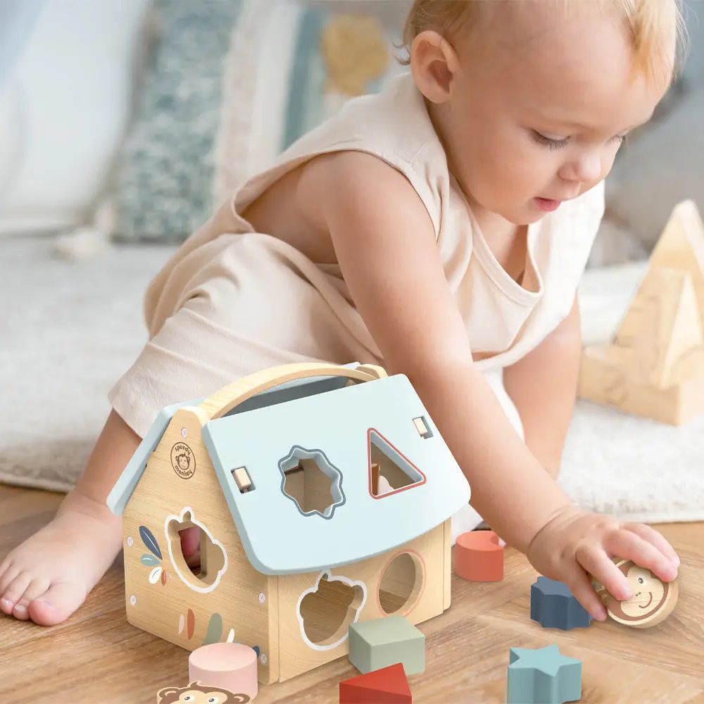 Wooden Shape Sorter Toy for Babies